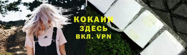 PSILOCYBIN Иннополис