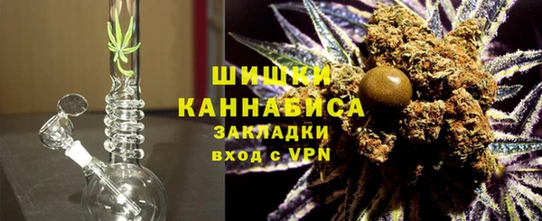 PSILOCYBIN Иннополис