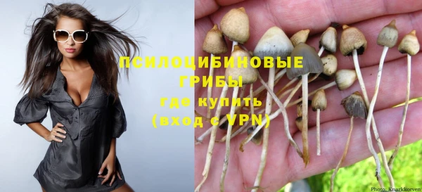 PSILOCYBIN Иннополис