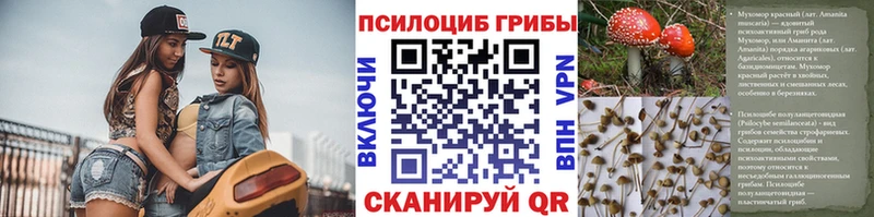 Псилоцибиновые грибы GOLDEN TEACHER  ОМГ ОМГ онион  Касли 